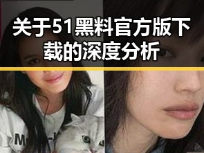 关于51黑料官方版下载的深度分析