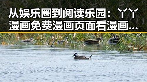 从娱乐圈到阅读乐园：丫丫漫画免费漫画页面看漫画下载的变化与趋势