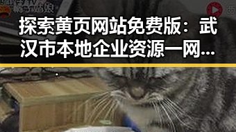 探索黄页网站免费版：武汉市本地企业资源一网打尽