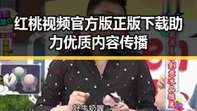 红桃视频官方版正版下载助力优质内容传播