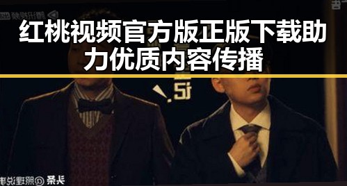 红桃视频官方版正版下载助力优质内容传播