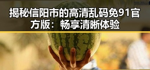 揭秘信阳市的高清乱码免91官方版：畅享清晰体验