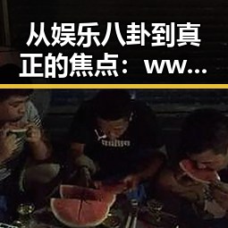 从娱乐八卦到真正的焦点：www.199麻豆的全景解析