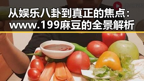 从娱乐八卦到真正的焦点：www.199麻豆的全景解析