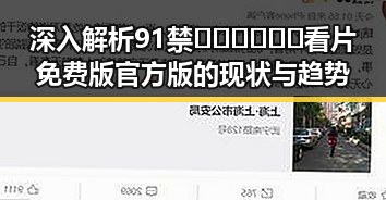 深入解析91禁🍆🍑🔞❌❌❌看片免费版官方版的现状与趋势