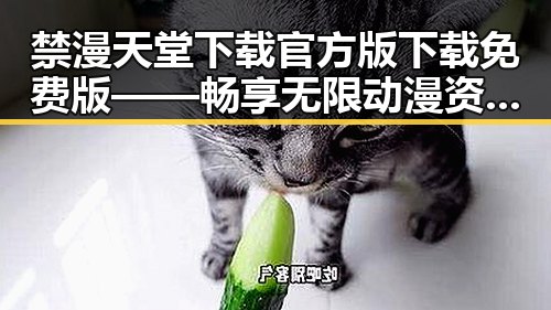 禁漫天堂下载官方版下载免费版——畅享无限动漫资源的最佳选择