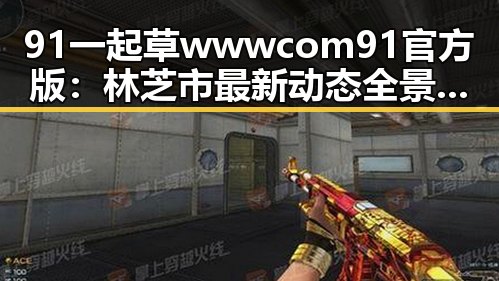 91 一起草wwwcom91官方版:林芝市最新动态全景解析