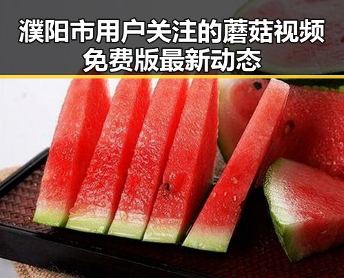 濮阳市用户关注的蘑菇视频免费版最新动态