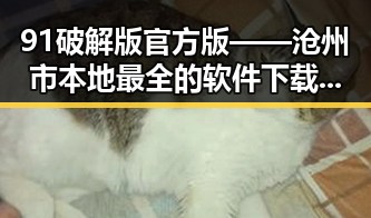 91破解版官方版——沧州市本地最全的软件下载选择