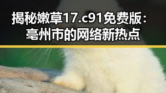揭秘嫩草17.c 91免费版：亳州市的网络新热点