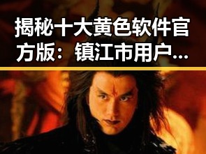 揭秘十大黄色软件官方版：镇江市用户的最新选择