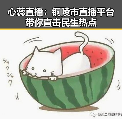 心蕊直播：铜陵市直播平台带你直击民生热点