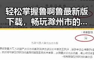 轻松掌握鲁啊鲁最新版下载，畅玩滁州市的精彩内容