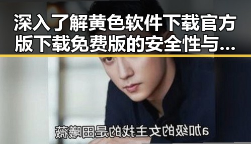 深入了解黄色软件下载官方版下载免费版的安全性与使用指南