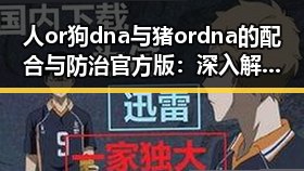 人or狗dna与猪ordna的配合与防治官方版：深入解析核心技术与实际应用