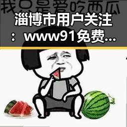 淄博市用户关注：www91免费版的最新使用体验
