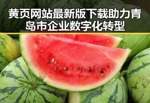 黄页网站最新版下载助力青岛市企业数字化转型