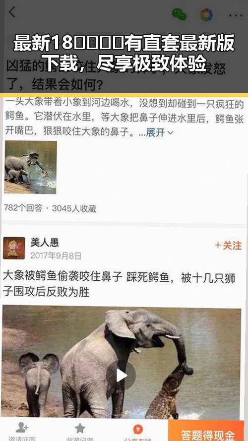 最新18🈲🍆🍑🔞有直套最新版下载,尽享极致体验