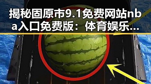 揭秘固原市9.1免费网站nba入口免费版：体育娱乐新体验