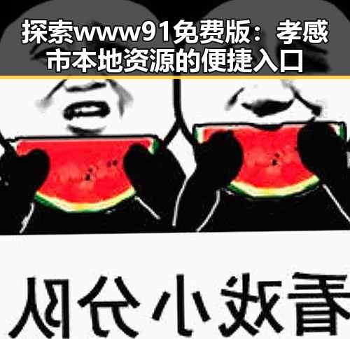 探索www91免费版：孝感市本地资源的便捷入口