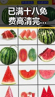 已满十八免费高清完整版电视剧免费版:揭示人物关系中的反差与变化