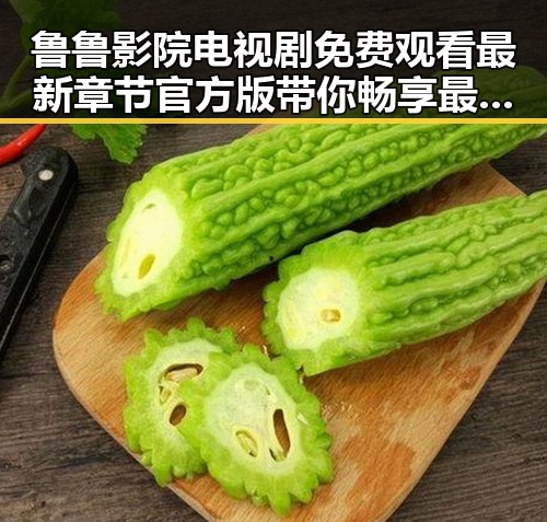 鲁鲁影院电视剧免费观看最新章节官方版带你畅享最新剧集