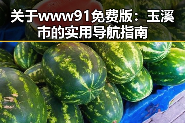 关于 www91免费版：玉溪市的实用导航指南