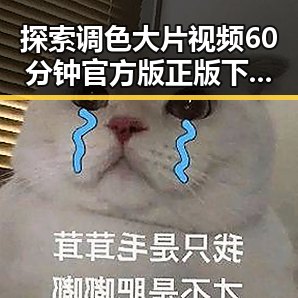探索调色大片视频60分钟官方版正版下载的魅力与体验
