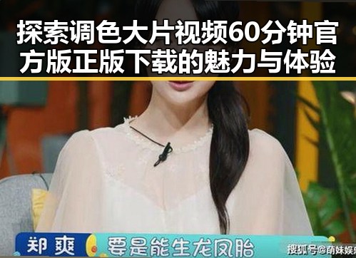 探索调色大片视频60分钟官方版正版下载的魅力与体验