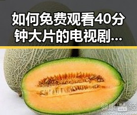 如何免费观看40分钟大片的电视剧免费版？探索实用途径