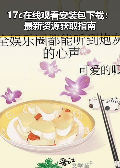 17c在线观看安装包下载：最新资源获取指南
