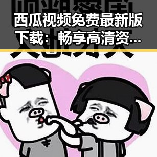 西瓜视频免费最新版下载：畅享高清资源的最佳选择