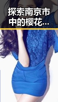探索南京市中的樱花视频官方版：春日美景的最佳选择