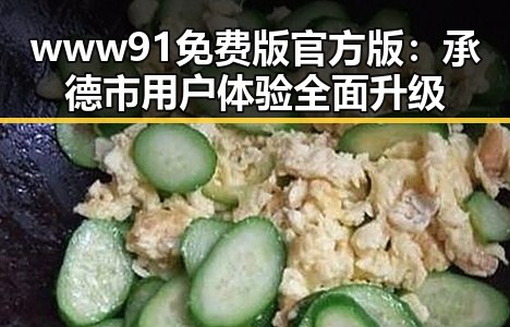 www91免费版官方版：承德市用户体验全面升级