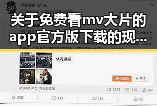 关于免费看mv大片的app官方版下载的现状与分析