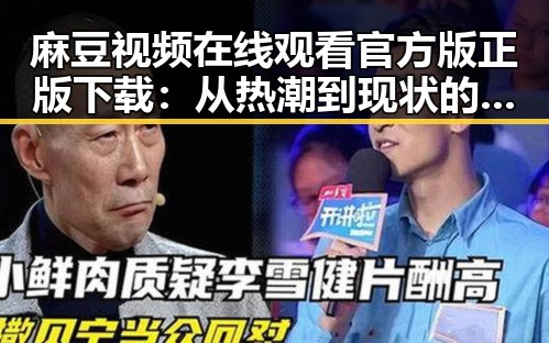 麻豆视频在线观看官方版正版下载：从热潮到现状的全面解析