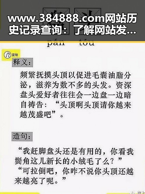 www.384888.com网站历史记录查询:了解网站发展轨迹的必备工具