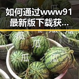 如何通过 www91最新版下载获取最新资源?探讨其重要性与实用技巧