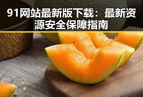 91网站最新版下载:最新资源安全保障指南