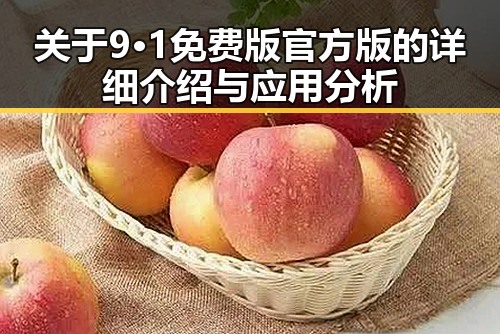 关于9·1免费版官方版的详细介绍与应用分析