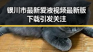 银川市最新爱液视频最新版下载引发关注