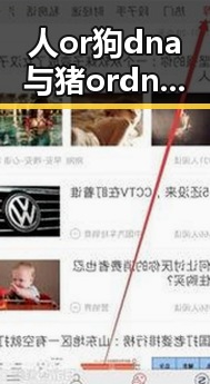 人or狗dna与猪ordna的配合与防治官方版：科学探索与应用分析