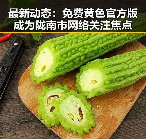 最新动态：免费黄色官方版成为陇南市网络关注焦点