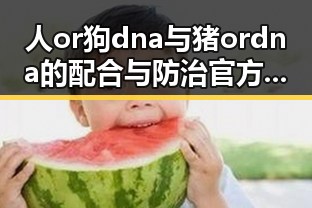 人or狗dna与猪ordna的配合与防治官方版下载：科技背后的新动态