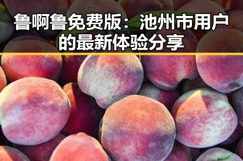 鲁啊鲁免费版：池州市用户的最新体验分享