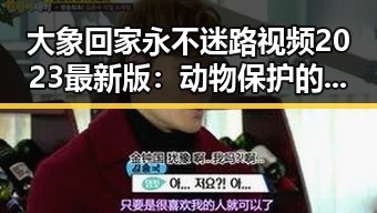大象回家永不迷路视频2023最新版：动物保护的温馨瞬间
