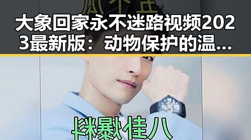 大象回家永不迷路视频2023最新版：动物保护的温馨瞬间