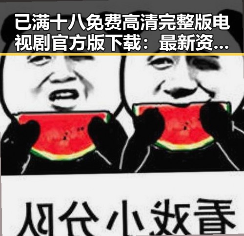已满十八免费高清完整版电视剧官方版下载：最新资源指南