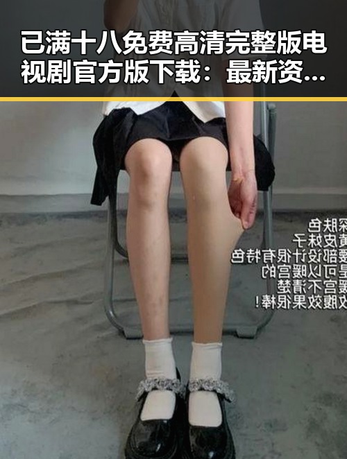 已满十八免费高清完整版电视剧官方版下载：最新资源指南