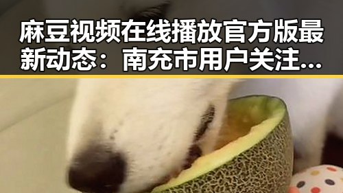 麻豆视频在线播放官方版最新动态：南充市用户关注度持续升高